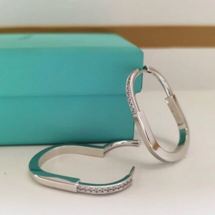 GdiDin61802 Tiffany earrings